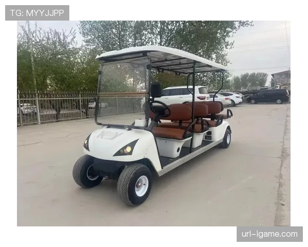 观点：高尔夫球车电动化转型面临基础设施与成本挑战